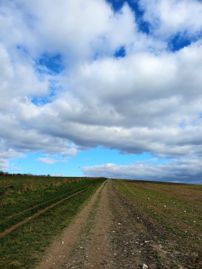 Walking across Hayes Down towards St Roche's Hill. You should hear lots of skylarks here.