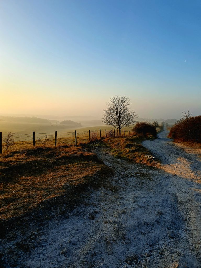 Sunrise view from the top of Chalkpit Lane looking South towards Chichester. I've hear skylarks as I walk along Chalkpit Lane.