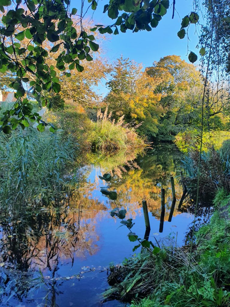 Chichester Canal