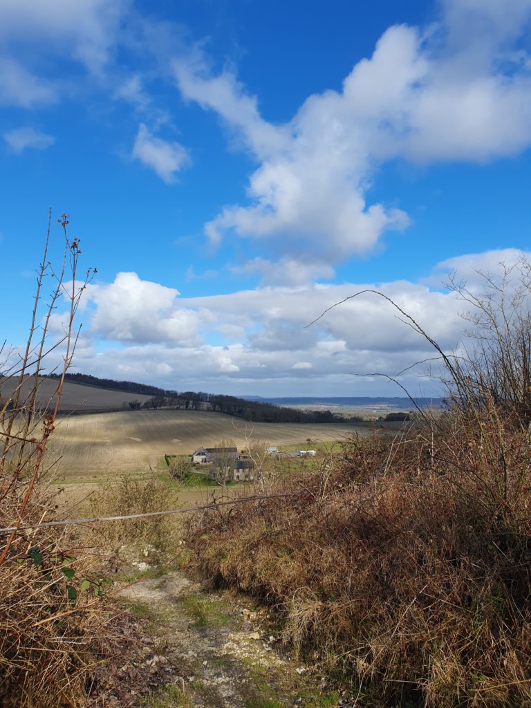 Immerse yourself in breathtaking views on the South Downs Way