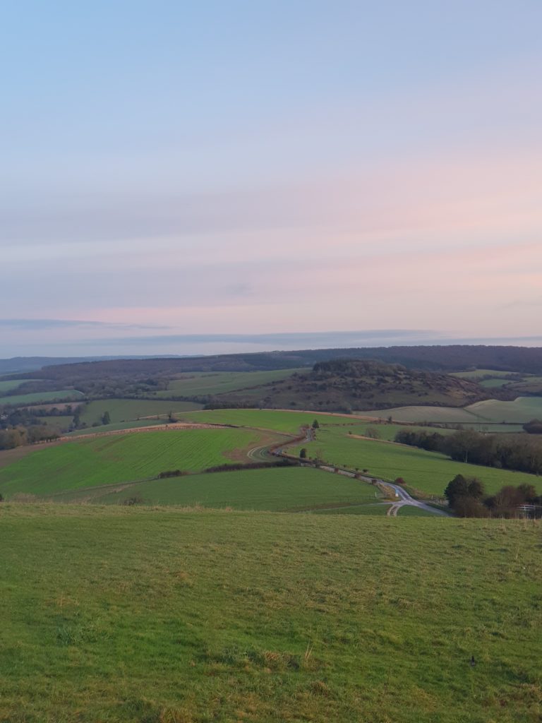 View from the Top of the Trundle (St Roche's Hill) North to Singleton